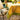 Sunflower Yellow& Green | French Tablecloths: 71" x 106"