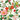 Colorful floral and bird pattern on a white background