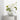 Detail Orrefors Carat Crystal Vase Large pictures with flowers