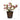 Measurements for HomArt Metal Pot with Tulips Sculpture 9.5”H x 4”W