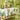 white tablecloth with potted plants trees olive lemon