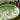 Caskata - Freya Large Coupe Oval Platter