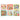 Flora & Fauna Cocktail Napkins Set of 6