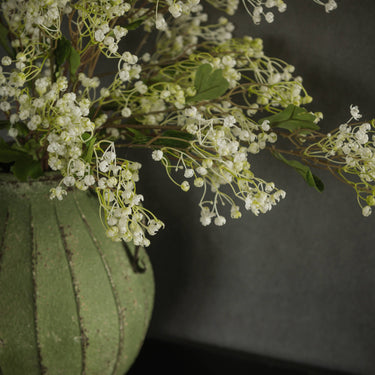Close-up of a branch with small white flowers and green leaves on a dark background