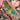 Parakeet & Peony Greeting Card