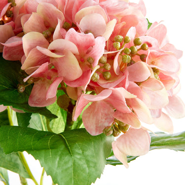Napa Home & Garden - Hydrangea Stems