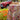 Jardin Red & Grey Collection