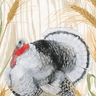 Homestead Turkey Paper Guest Towel by Caspari