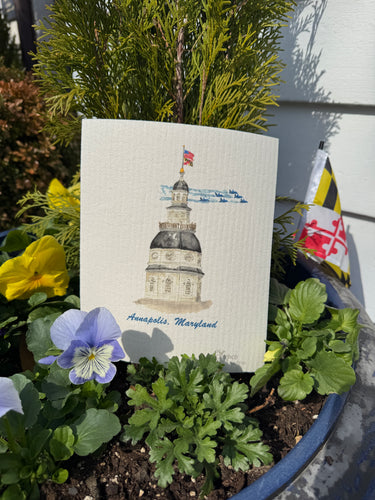 MD State House & Blue Angels Annapolis Collection