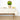 India Hicks Thistle Sand Collection