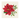 Hester & Cook - Stationery - Poinsettia Cocktail Napkin - pack of 20