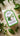 Valente Market pasta package with green label on a beige surface with herbs