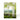 Birch Forest - Everyday Trees Greeting Cards
