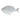 White Stoneware Fish Dish