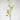Artificial Dogwood Branch 41"
