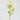 Artificial Yellow Ranunculus 22”